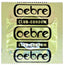 Oebre CLUB-Condom Gold | WorldCondoms