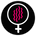Female Stimulation Collection